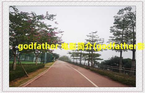 godfather 电影简介(godfather影评)